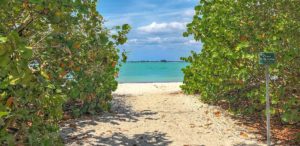 Top things to do on Sanibel and Captiva